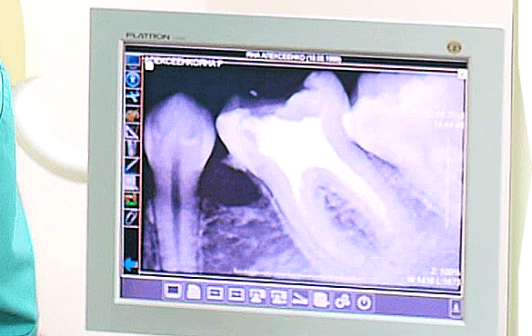 Сервис Vitalis